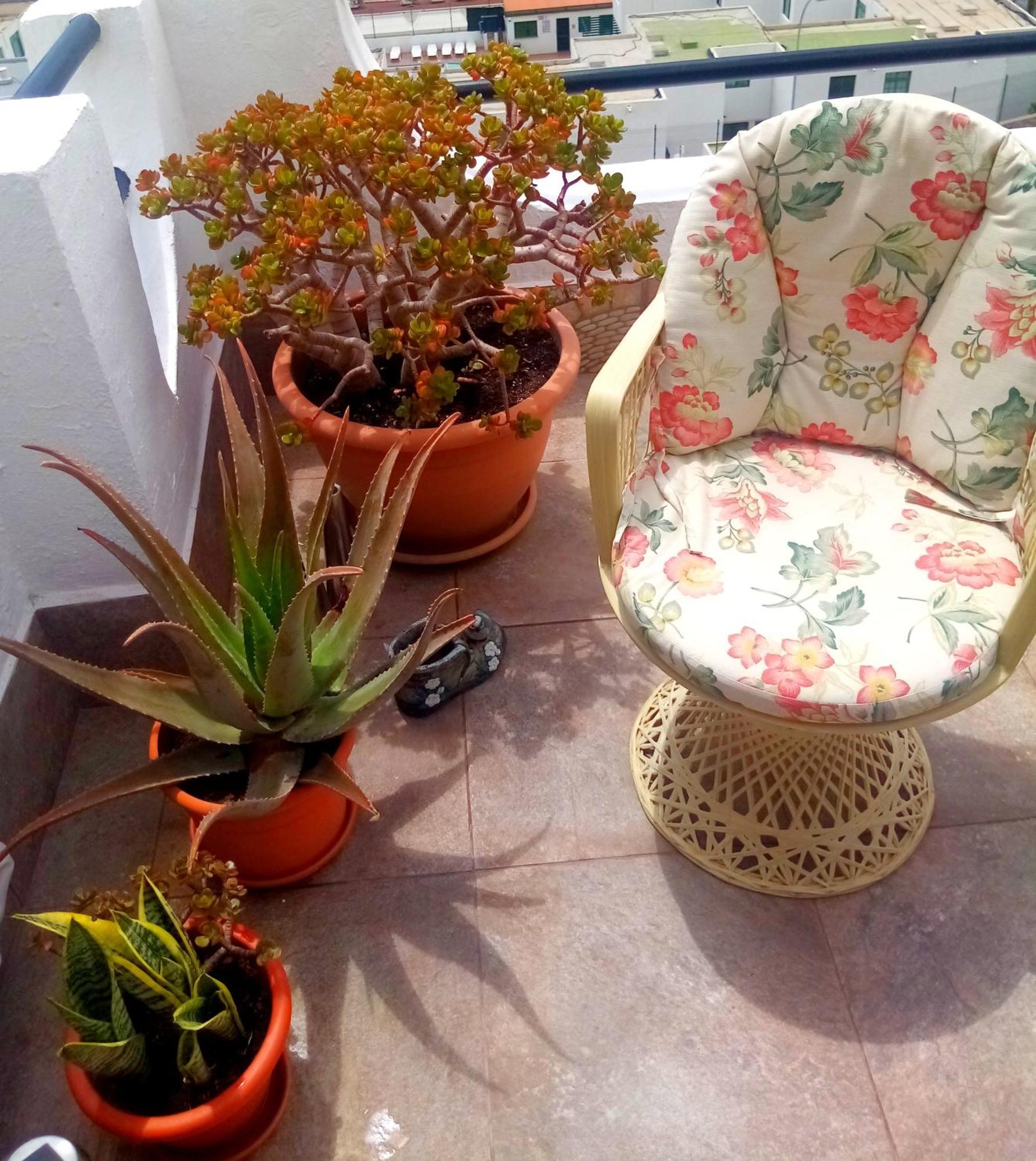 Most Sunny Days On Gran Canaria 푸에르토리코 외부 사진