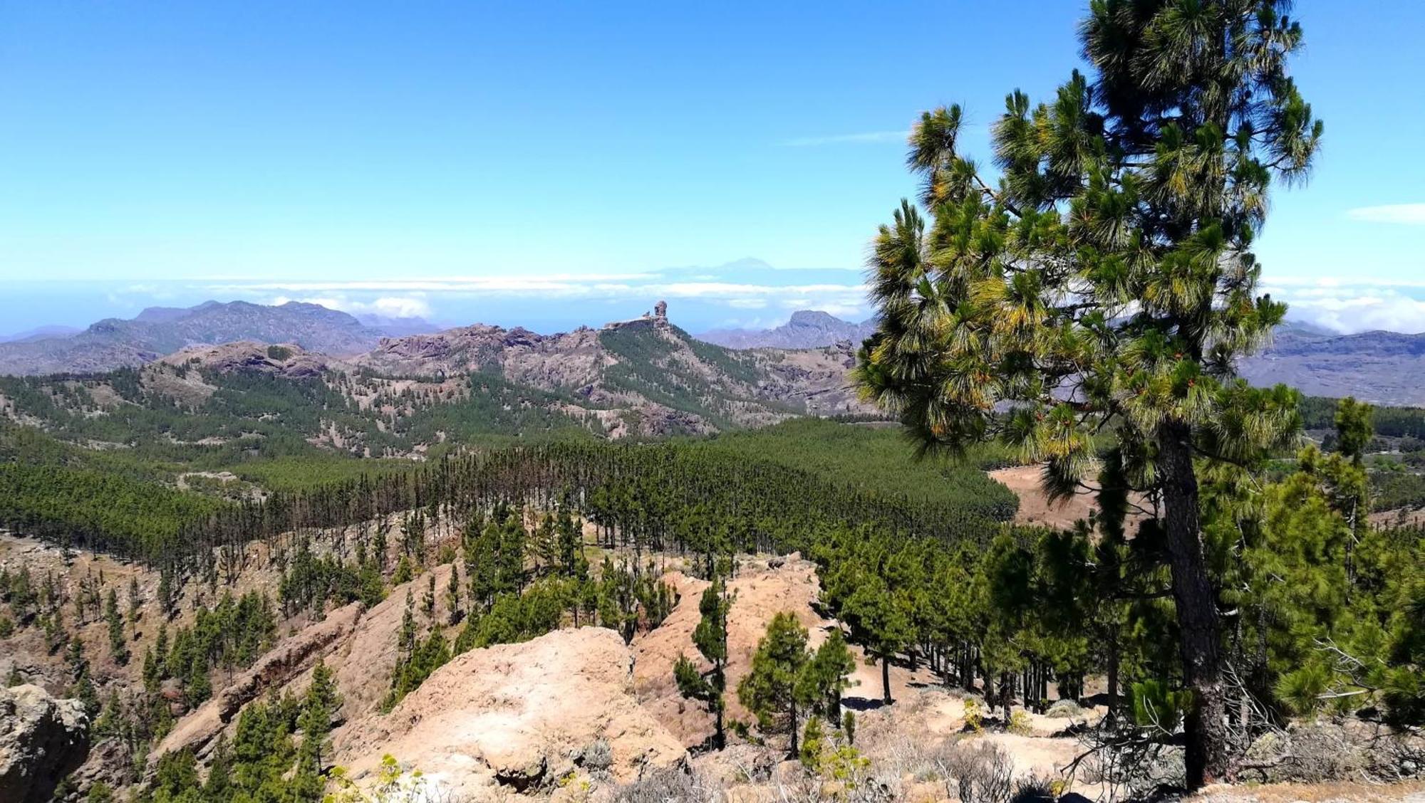 Most Sunny Days On Gran Canaria 푸에르토리코 외부 사진