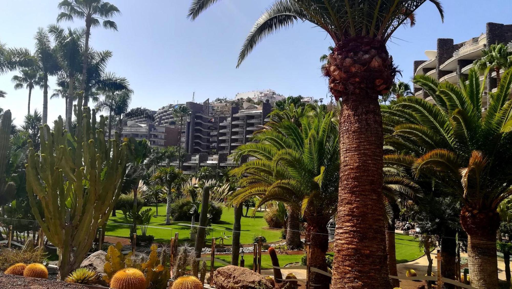 Most Sunny Days On Gran Canaria 푸에르토리코 외부 사진