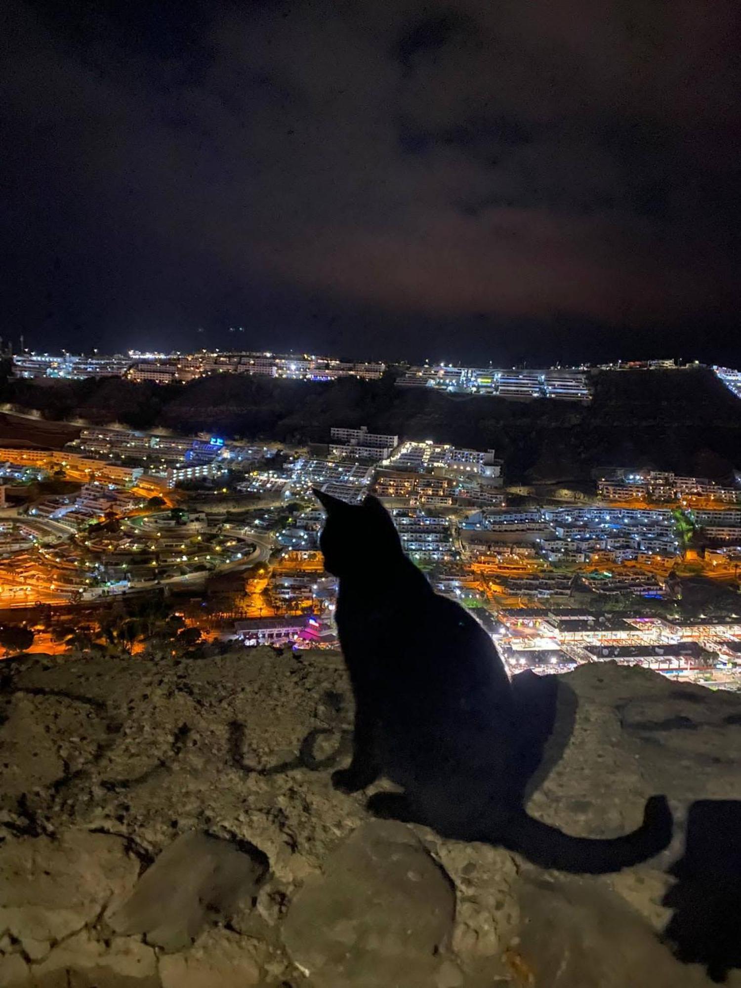 Most Sunny Days On Gran Canaria 푸에르토리코 외부 사진